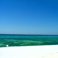 James Whatley avatar image