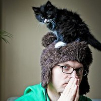 Robbie Telfer avatar image