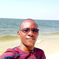 Edmore Mangisi avatar image