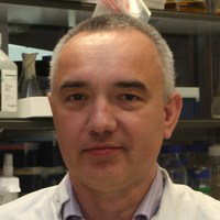 Andrew Trafford avatar image