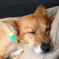 David Gonzalez avatar image