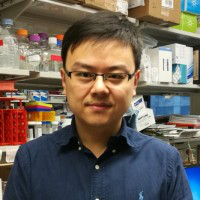 Lu Wang avatar image