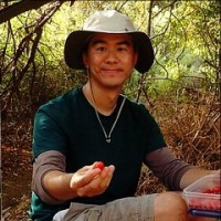 Charles Wang avatar image