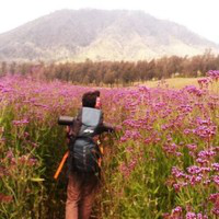 Tatang Hendrolukito avatar image