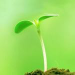 Austin He avatar image