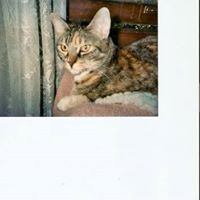 Marilyn Berry avatar image