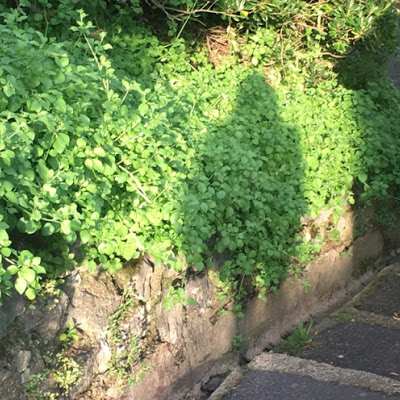 Eryt500 Jennifer Pettit avatar image