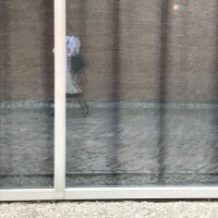 Lexi Hughes avatar image