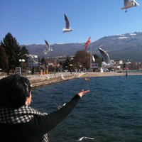 Jasminka Baney avatar image