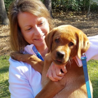 Denise Kniager avatar image