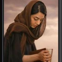 Majda Al Zadjali avatar image