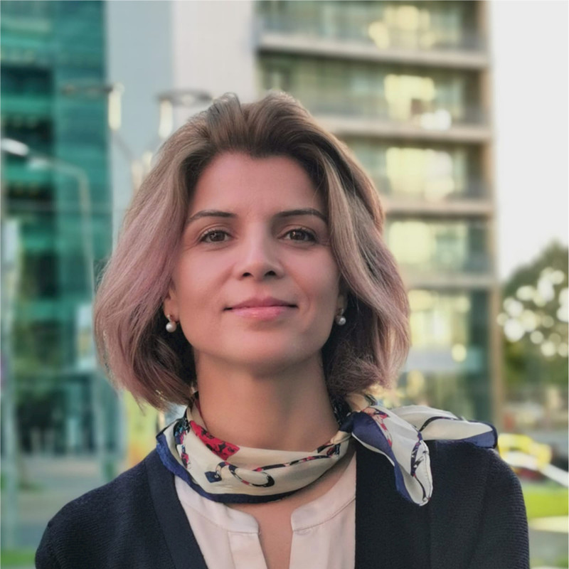 Corina Dimitriu avatar image