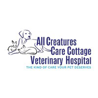 All Hospital avatar image