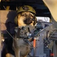 Jeff Graham avatar image