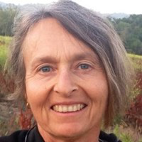 Michele Landegger avatar image