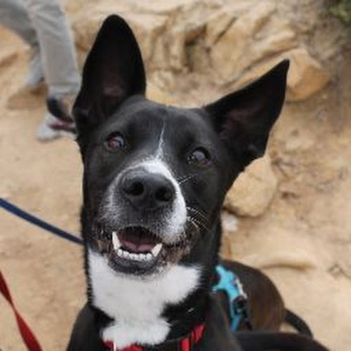 Jennifer L. avatar image