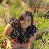 Cristina Ramos avatar image