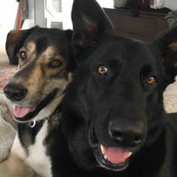 Matthew Aiken avatar image