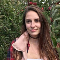 Taylor Stark avatar image