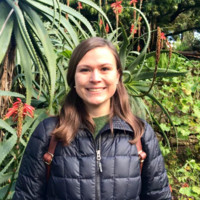 Dalton Fusco avatar image