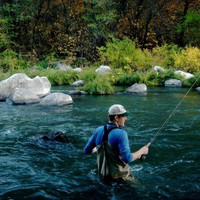 Jay Forrest avatar image