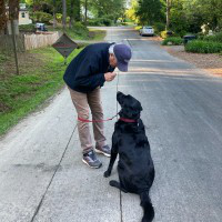 Harry Moxley avatar image