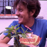 Stefano Stravato avatar image