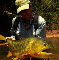 Carlos Casanello avatar image