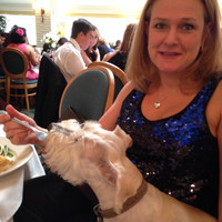 Amy Bryan avatar image