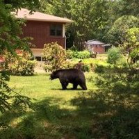 Robert Milnes avatar image