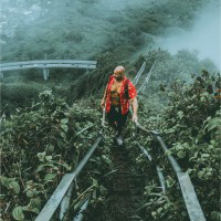 Bardia Rahimzadeh avatar image