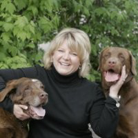 Pam Catania avatar image