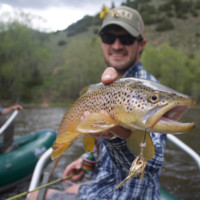 Tyler Sessions avatar image