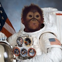 Jon Lindquist avatar image