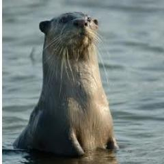 George Monbiot avatar image