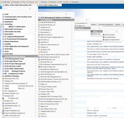 Bradley Shoebottom, photo 2