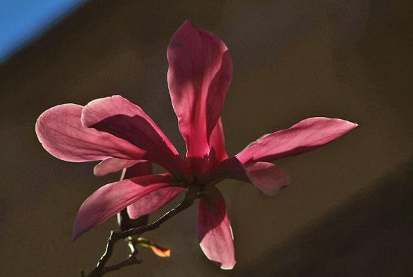 Heather Stout, photo 1