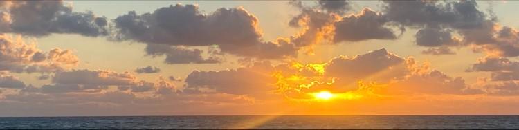 Yoni Sunshine, photo 2