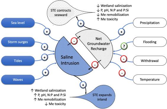 Henry Zektser, photo 1