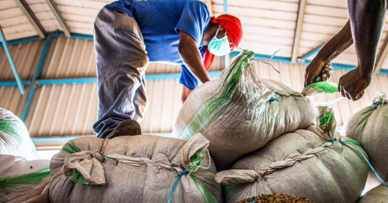 Siobhan Gottlieb, photo 2