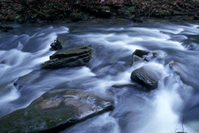 Luke Iverson, photo 1