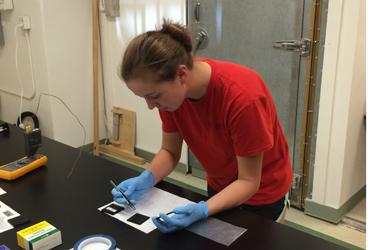 Daniel Cormode, photo 2