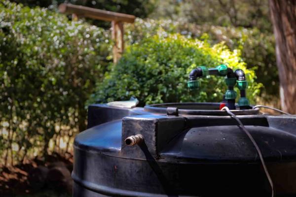 Max Garnick, photo 2