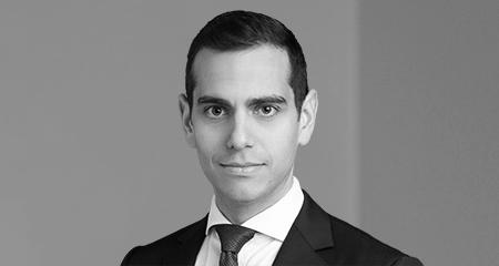 Jeremy Bornstein, photo 1