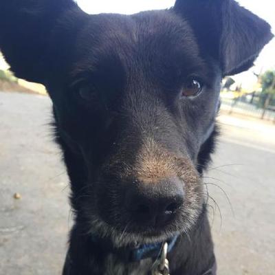 Brian Dittmer, photo 1