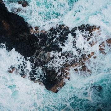 Sashank Thupukari, photo 1