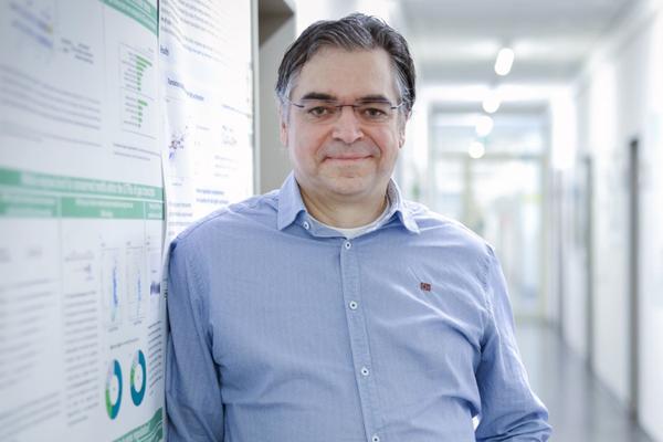 Armin Hallmann, photo 2