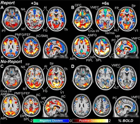 Nick Morrell, photo 2
