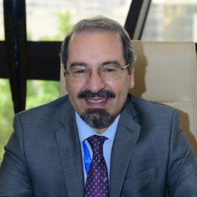 Amir Manafi, photo 2