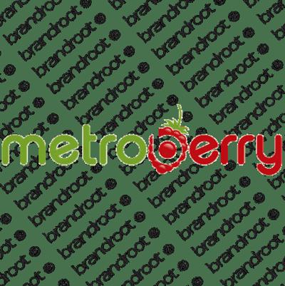 Metro Berry